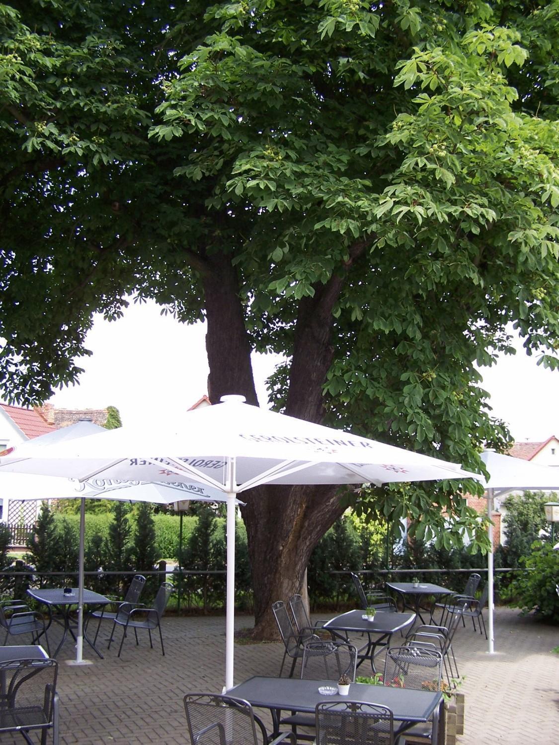 Hotel Glindenberger Hof Buitenkant foto
